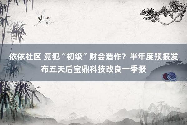 依依社区 竟犯“初级”财会造作？半年度预报发布五天后宝鼎科技改良一季报