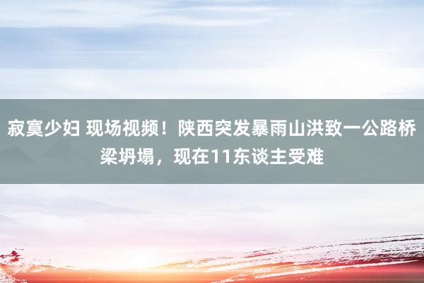 寂寞少妇 现场视频！陕西突发暴雨山洪致一公路桥梁坍塌，现在11东谈主受难