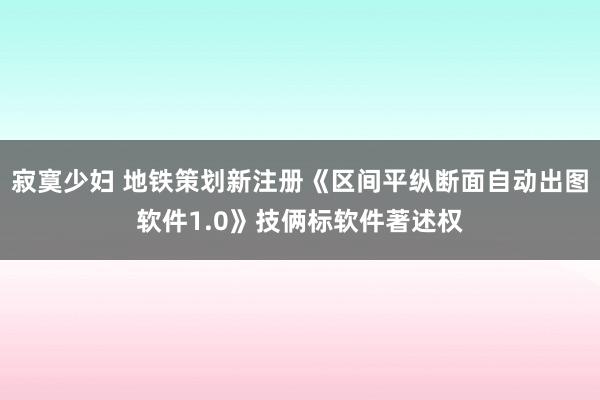 寂寞少妇 地铁策划新注册《区间平纵断面自动出图软件1.0》技俩标软件著述权