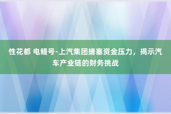 性花都 电鳗号-上汽集团搪塞资金压力，揭示汽车产业链的财务挑战