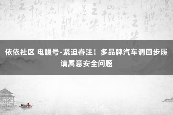 依依社区 电鳗号-紧迫眷注！多品牌汽车调回步履请属意安全问题