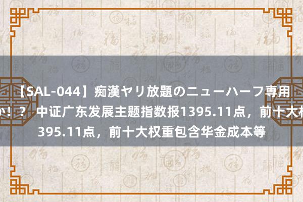 【SAL-044】痴漢ヤリ放題のニューハーフ専用車は本当にあるのか！？ 中证广东发展主题指数报1395.11点，前十大权重包含华金成本等