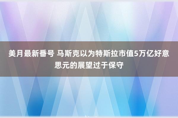 美月最新番号 马斯克以为特斯拉市值5万亿好意思元的展望过于保守