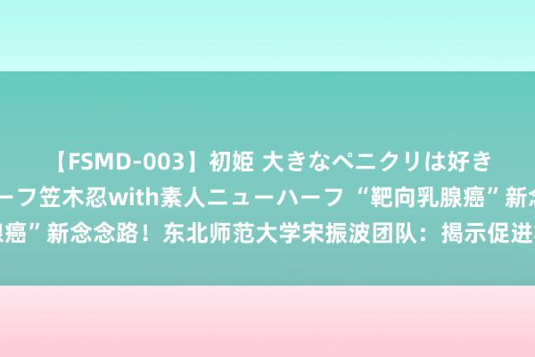 【FSMD-003】初姫 大きなペニクリは好きですか！？ ニューハーフ笠木忍with素人ニューハーフ “靶向乳腺癌”新念念路！东北师范大学宋振波团队：揭示促进乳腺癌进展的新机制