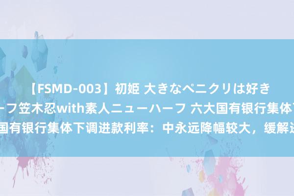 【FSMD-003】初姫 大きなペニクリは好きですか！？ ニューハーフ笠木忍with素人ニューハーフ 六大国有银行集体下调进款利率：中永远降幅较大，缓解进款永远化问题