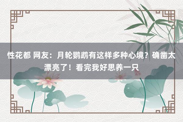 性花都 网友：月轮鹦鹉有这样多种心境？确凿太漂亮了！看完我好思养一只