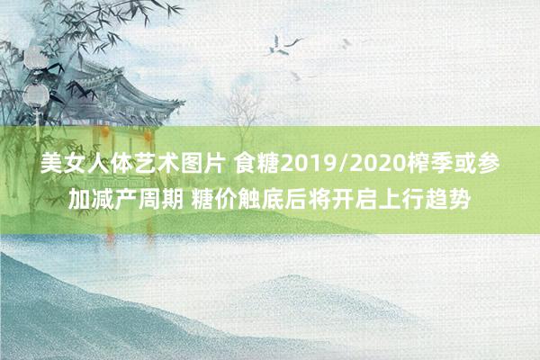 美女人体艺术图片 食糖2019/2020榨季或参加减产周期 糖价触底后将开启上行趋势