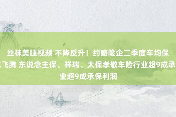 丝袜美腿视频 不降反升！约略险企二季度车均保费环比飞腾 东说念主保、祥瑞、太保孝敬车险行业超9成承保利润