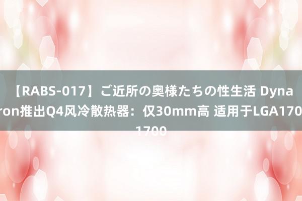 【RABS-017】ご近所の奥様たちの性生活 Dynatron推出Q4风冷散热器：仅30mm高 适用于LGA1700