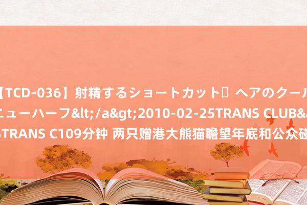 【TCD-036】射精するショートカット・ヘアのクールビューティ・ニューハーフ</a>2010-02-25TRANS CLUB&$TRANS C109分钟 两只赠港大熊猫瞻望年底和公众碰头！“盈盈”龙凤胎现状露馅