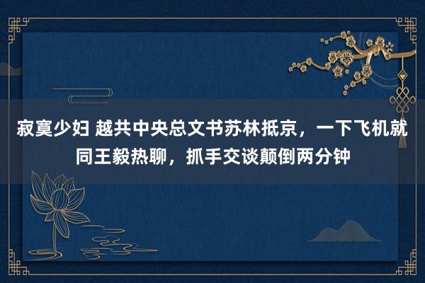 寂寞少妇 越共中央总文书苏林抵京，一下飞机就同王毅热聊，抓手交谈颠倒两分钟