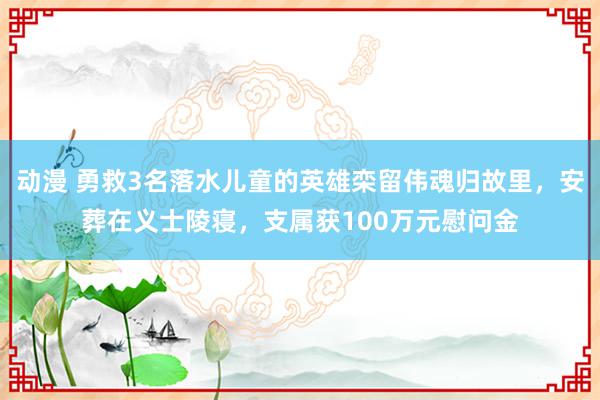 动漫 勇救3名落水儿童的英雄栾留伟魂归故里，安葬在义士陵寝，支属获100万元慰问金