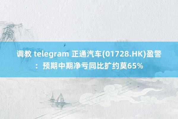 调教 telegram 正通汽车(01728.HK)盈警：预期中期净亏同比扩约莫65%