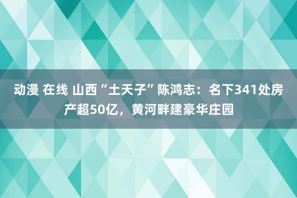 动漫 在线 山西“土天子”陈鸿志：名下341处房产超50亿，黄河畔建豪华庄园