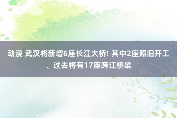 动漫 武汉将新增6座长江大桥! 其中2座照旧开工、过去将有17座跨江桥梁