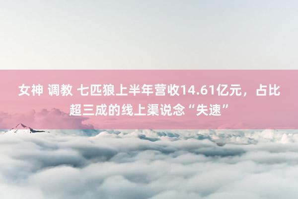 女神 调教 七匹狼上半年营收14.61亿元，占比超三成的线上渠说念“失速”