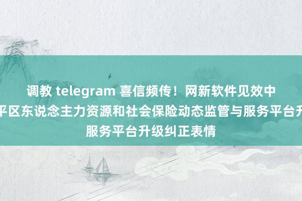 调教 telegram 喜信频传！网新软件见效中标北京市昌平区东说念主力资源和社会保险动态监管与服务平台升级纠正表情