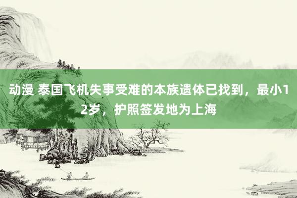 动漫 泰国飞机失事受难的本族遗体已找到，最小12岁，护照签发地为上海